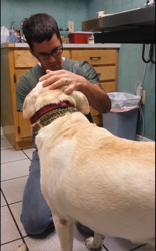 vet-visit